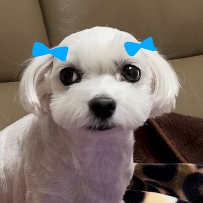 언제나 🦊편❤️
https://t.co/bk3c1WTawG