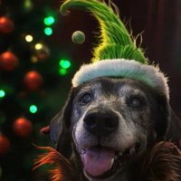 MabelJune (@mabeljune2) 's Twitter Profile