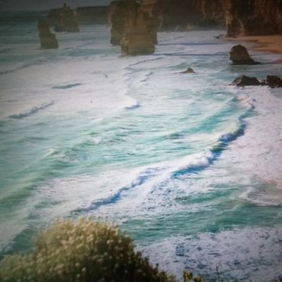 crypto0knight's profile picture. 