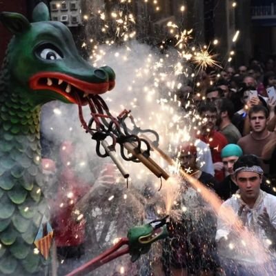 De Vilanova i la Geltrú | Apassionat de la comunicació, la cultura popular i el fet casteller | La vida es compta en carnavals
