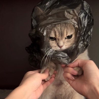 konchina357330's profile picture. 