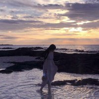 Sasliez (@sasliez81304) 's Twitter Profile