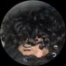 spearrz (@xspearz) Twitter profile photo spearrz (@xspearz) Twitter profile photo
