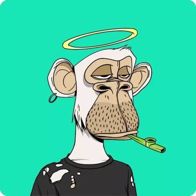 JJwith217's profile picture. W Capital Cofounder