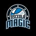 Osceola Magic (@OsceolaMagic) Twitter profile photo
