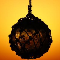 やまみん (@mw6v0mbuh534301) 's Twitter Profile Photo