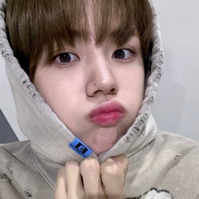 안성민 강아지