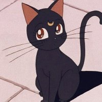 La Rue; 🍉 (@bl4ck_sw4an) 's Twitter Profile