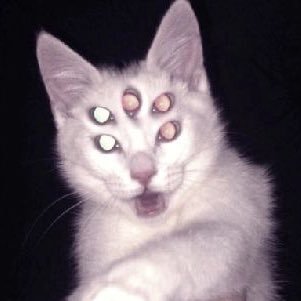 22Alexfall's profile picture. hi