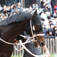 ディープボンドファンクラブ (@0218deepbond) 's Twitter Profile Photo ディープボンドファンクラブ (@0218deepbond) 's Twitter Profile Photo