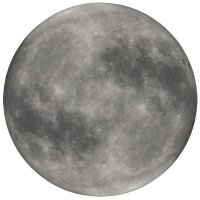 Masayan_Kenji (@kenjimasayan) 's Twitter Profile