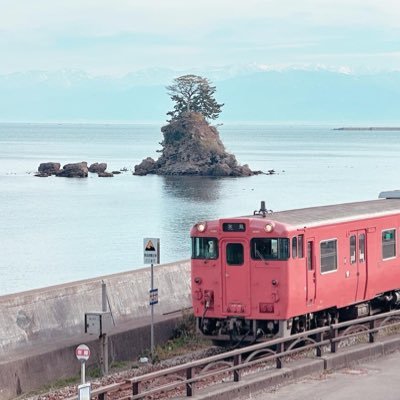 KUROkuro_283's profile picture. '02(21) 日本の主要幹線を走る車両(模型)を集めてます🚃🚃🚃 最近は貨物の沼に入ってて暫く抜け出せそうにありません笑