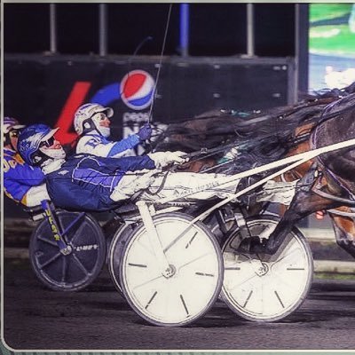 Harness Racing Driver born and raised in Elm Creek MB