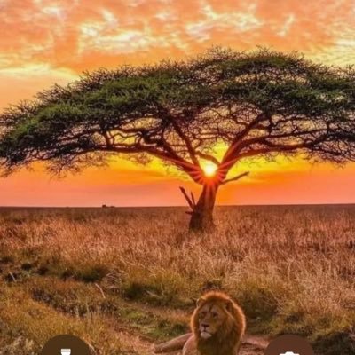 ahmedyyz's profile picture. 