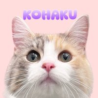 琥珀୨୧パステル三毛のノル (@tomcat0501) 's Twitter Profile