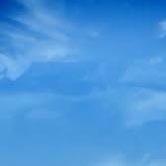 AmitWason7's profile picture. 