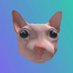 $BINGUS (@bingussol) Twitter profile photo $BINGUS (@bingussol) Twitter profile photo