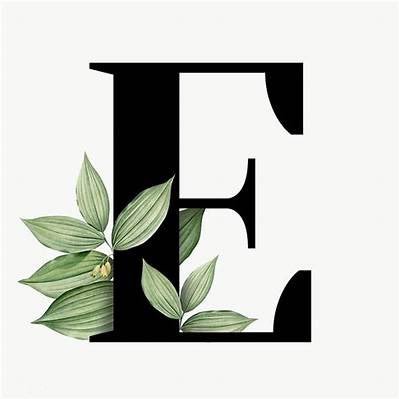 ErinWardRhoades's profile picture. 