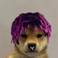 Graywifhat (@cryptogray_) 's Twitter Profile
