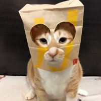 eso (@m6jo3z06) 's Twitter Profile