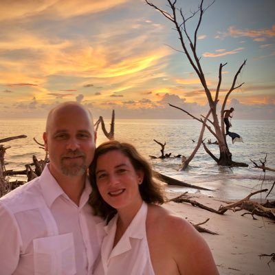 roybotic's profile picture. look carefully at the tree in profile pic background 🤯🧜‍♂️