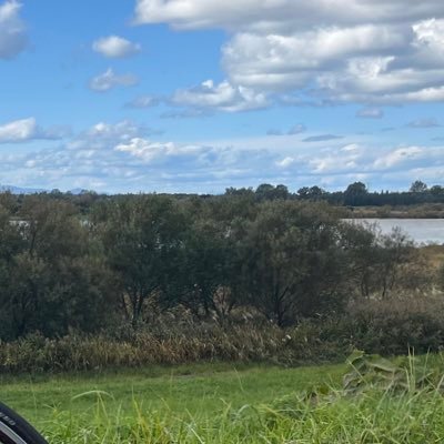 Bou2Kanna's profile picture. 