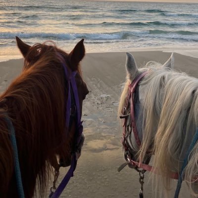 ohoodkaram2's profile picture. 