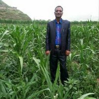 a bdomohsen alahdal (@aalahdal79412) 's Twitter Profile