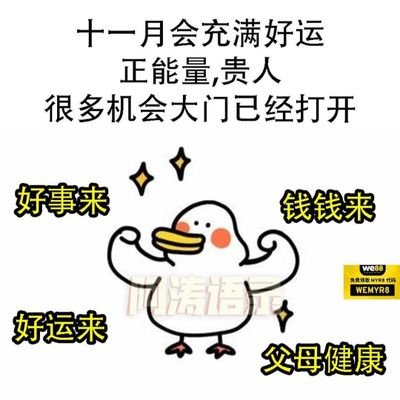 KetPS4YIdzLPKTO's profile picture. 