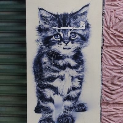 yDeLarge56's profile picture. 