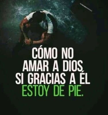 javi301997's profile picture. 