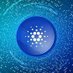 Crypto Startpunt (@cryptostart_nl) Twitter profile photo Crypto Startpunt (@cryptostart_nl) Twitter profile photo
