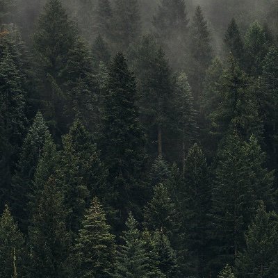 JesDaniel's profile picture. 31 Ingeniero en Redes y Comunicaciones, La felicidad es traducida en: Bytes=32 tiempo=10ms TTL=217  !!!!!