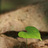 ledsea77's profile image