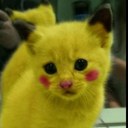 Norman Cunningham - @Satya_Nirvana - Twitter