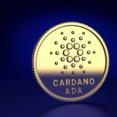 @CardanoNb