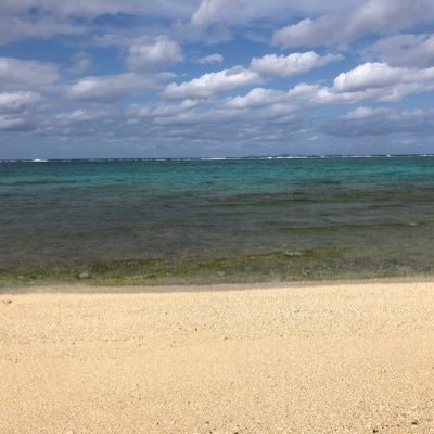6年目になりました。ゆるりとやってます。 ダーツ本格的に再開、家投げ環境作りました。
