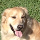 Amanda Herald - @awherald - Twitter