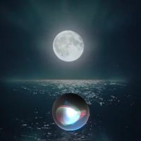 ニコ (@xcgtbjpbq733137) 's Twitter Profile