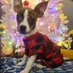I Love Lucy (@factsoflife23) Twitter profile photo I Love Lucy (@factsoflife23) Twitter profile photo