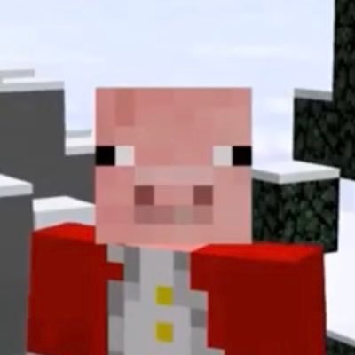 JoeSchmoeXD's profile picture. 