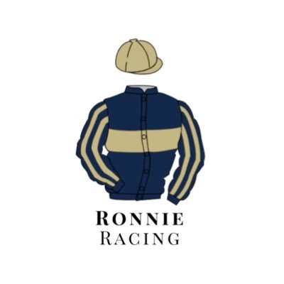 Horse Racing Syndicate. | Horses in training with Paul Nicholls and Gary Moore | Shares available contact for more information ronnieracingsyndicate@gmail.com