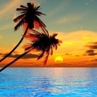 Robb0105 (@robb0105) 's Twitter Profile