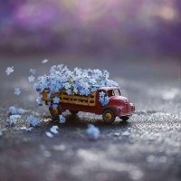 ĐⱤɆ₳₥ɆⱤ (@hr_236) 's Twitter Profile