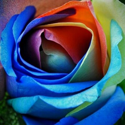 Profile Picture of Janice Jenkins (@janice_jenkins) on Twitter