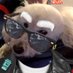 slippyboy44 (@slippyboy44) Twitter profile photo slippyboy44 (@slippyboy44) Twitter profile photo