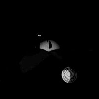 MDSO.WN (@mdso_fl) 's Twitter Profile