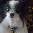 Cynthia Roos - @clroos14 - Twitter