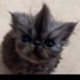 billy:) (@babyyidaa) Twitter profile photo billy:) (@babyyidaa) Twitter profile photo