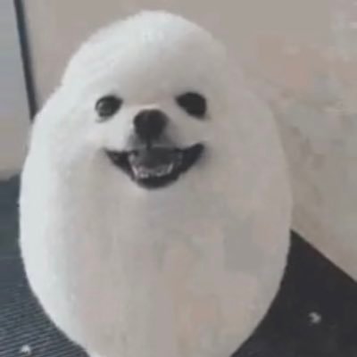 nft_thrill's profile picture. web3 integrated